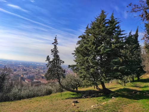 Scenic landscape representing a travel guide to visit Vuzillfotsps with mountains, lake, and beautiful tourist destination view